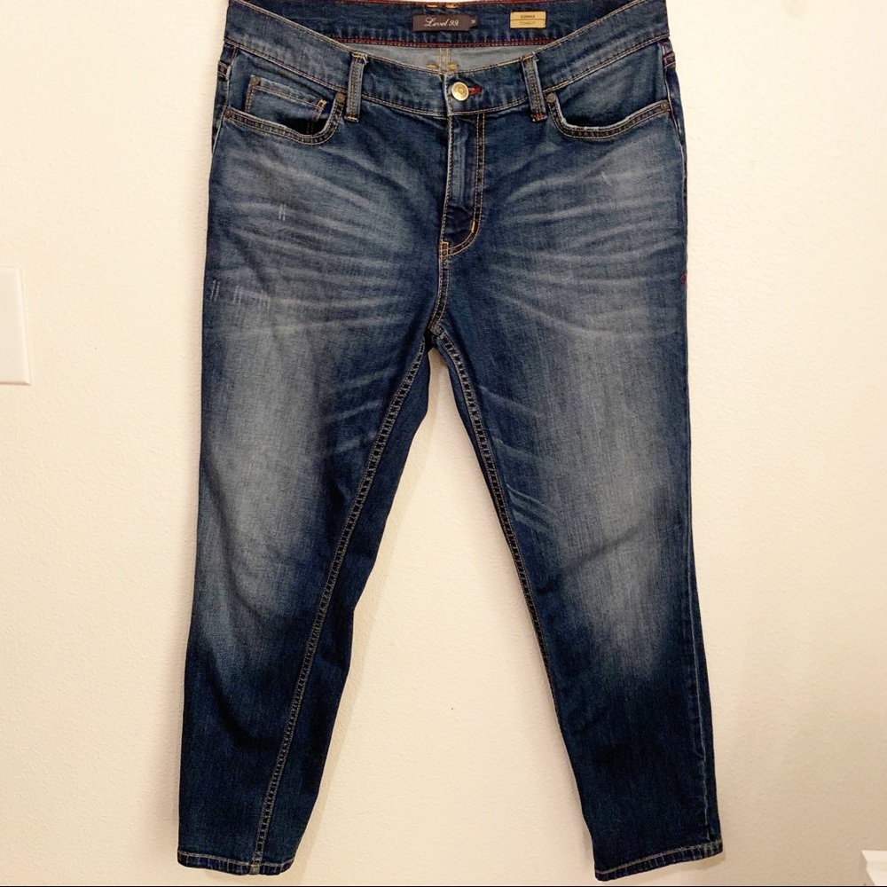 Anthropologie Level 99 Sienna Tomboy Denim Jeans
